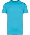 NS300 Unisex T shirt light turquoise colour image